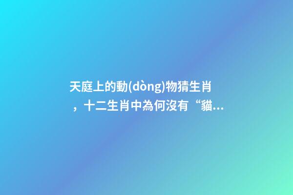 天庭上的動(dòng)物猜生肖，十二生肖中為何沒有“貓”這一屬相